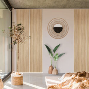 Porte de placard Vega pivotante