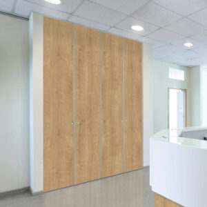 Porte de placard Cézame pivotante